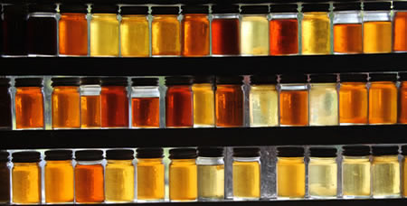 Colour Variations in Honeys